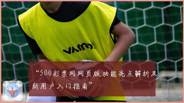 “500彩票网网页版功能亮点解析及新用户入门指南”
