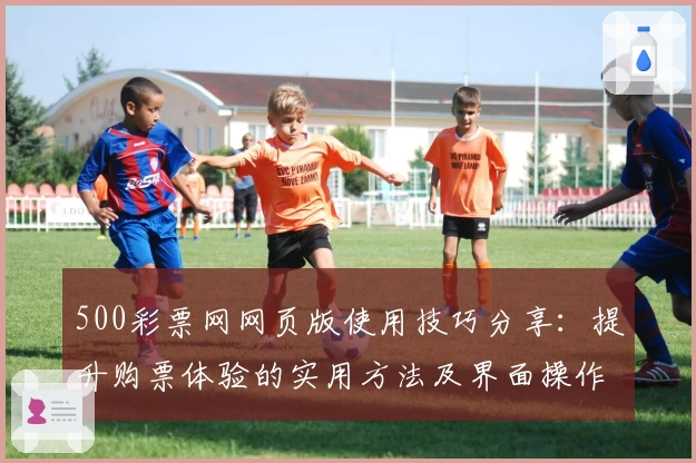 500彩票网网页版使用技巧分享：提升购票体验的实用方法及界面操作指南